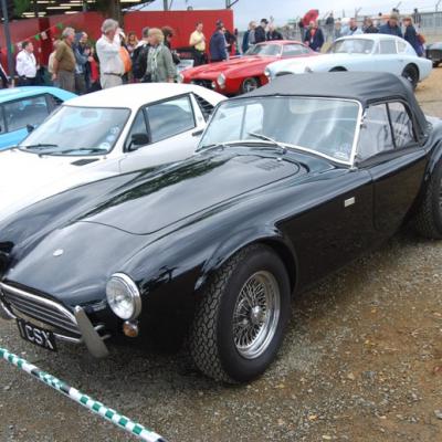 AC Cobra 289