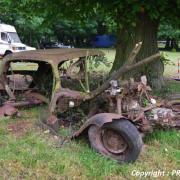 Au pied de son arbre