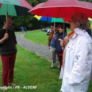 Debut de visite pluvieuse et studieuse